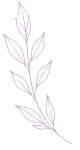 Illustration de Chloé Betge