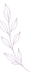 Illustration de Chloé Betge